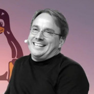 АНАНЫС СЫГЕН