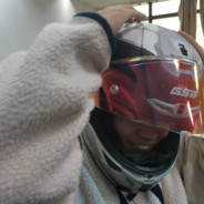 宝宝巴士·批总