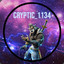 Cryptic_1134