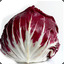 Radicchio