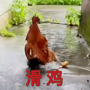 我是不是有点胖胖