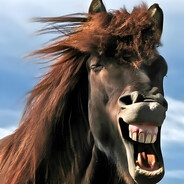 ——下等马分界线——