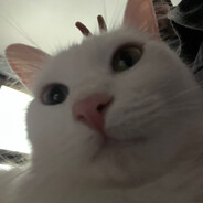 Hiro