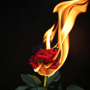 丿壹杆灬冲锋狙丶