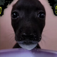 ー𝔽𝕦ℤ𝕫𝕪ー