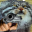 Manul