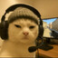 Alex__NYAN__cat