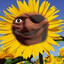 joyous happymaxxer