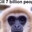 hiniature enjoyer