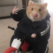 squiXi