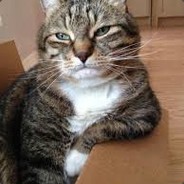 Return csgo?