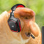 jogi2k