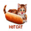 HOT CAT