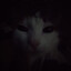 suhefs