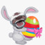 The Appa Bunny
