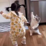 单肩背带裤黄毛