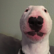 walter