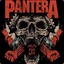 Pantera