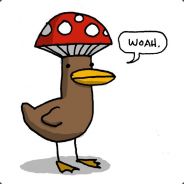 Mushroom Duck Soup