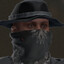 the masked bandit
