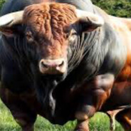 Бык осеменитель