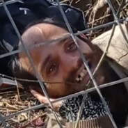 Shpagata