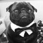ya chelovek pauk's avatar