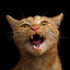 Baltunᴿᴴ's avatar