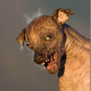 ПЕС СМЕРДЮЧИЙ