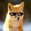 FOX_314ZDESS
