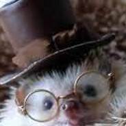 🦔 умні їжак 💭