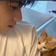 自卫太多晨钵不起来