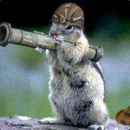 XuPyPg =D - steam id 76561197961156586