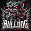 _bulldog_12