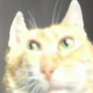 Forest’s whisper is SB