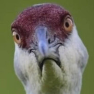 checken's Steam Avatar