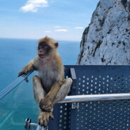 𝗠𝗢𝗡𝗦𝗧𝗘𝗥