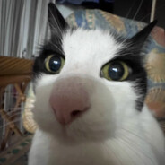 loglookinglarry