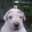 animk.o42