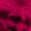 死
