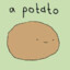 A Potato