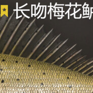 双持大黑牛 -_,-