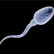 Сперматозоид #bloodrust