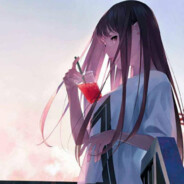 日内瓦平成骑士