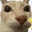 Hecktor
