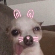 CYQ