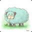 Sleepy Sheep