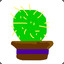 kaktus11048 csgetto.app