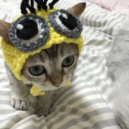 posland avatar