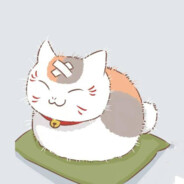 骑老奶奶闯红灯